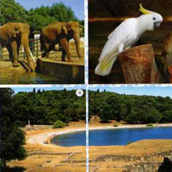Brijuni_Safari_park_and_roman_Villa