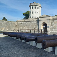 Walking_tour_Pula_with_wine_tasting_at_the_Forum_2